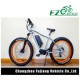 Newest Ebike with Fat Tire