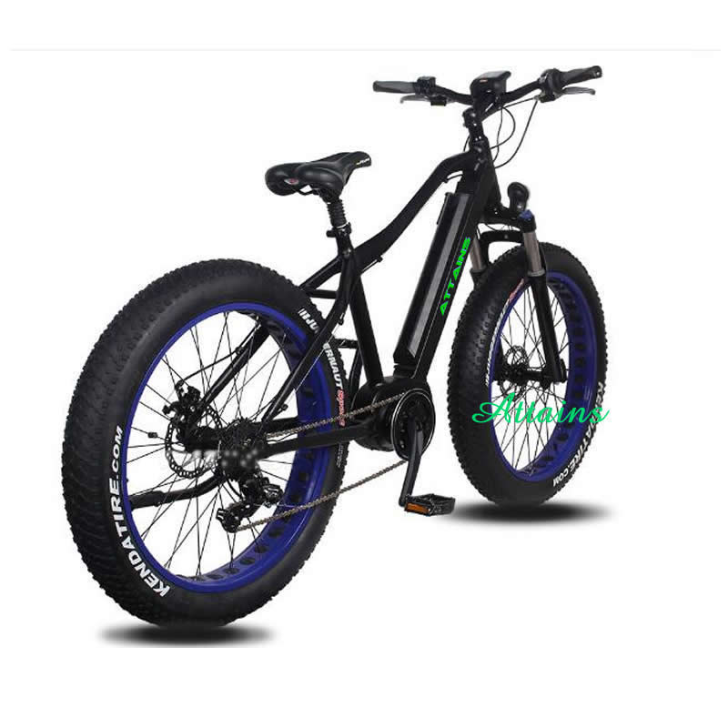 500W 750W 1000W Bafang Motor Middle Drive Electric Fat Bike